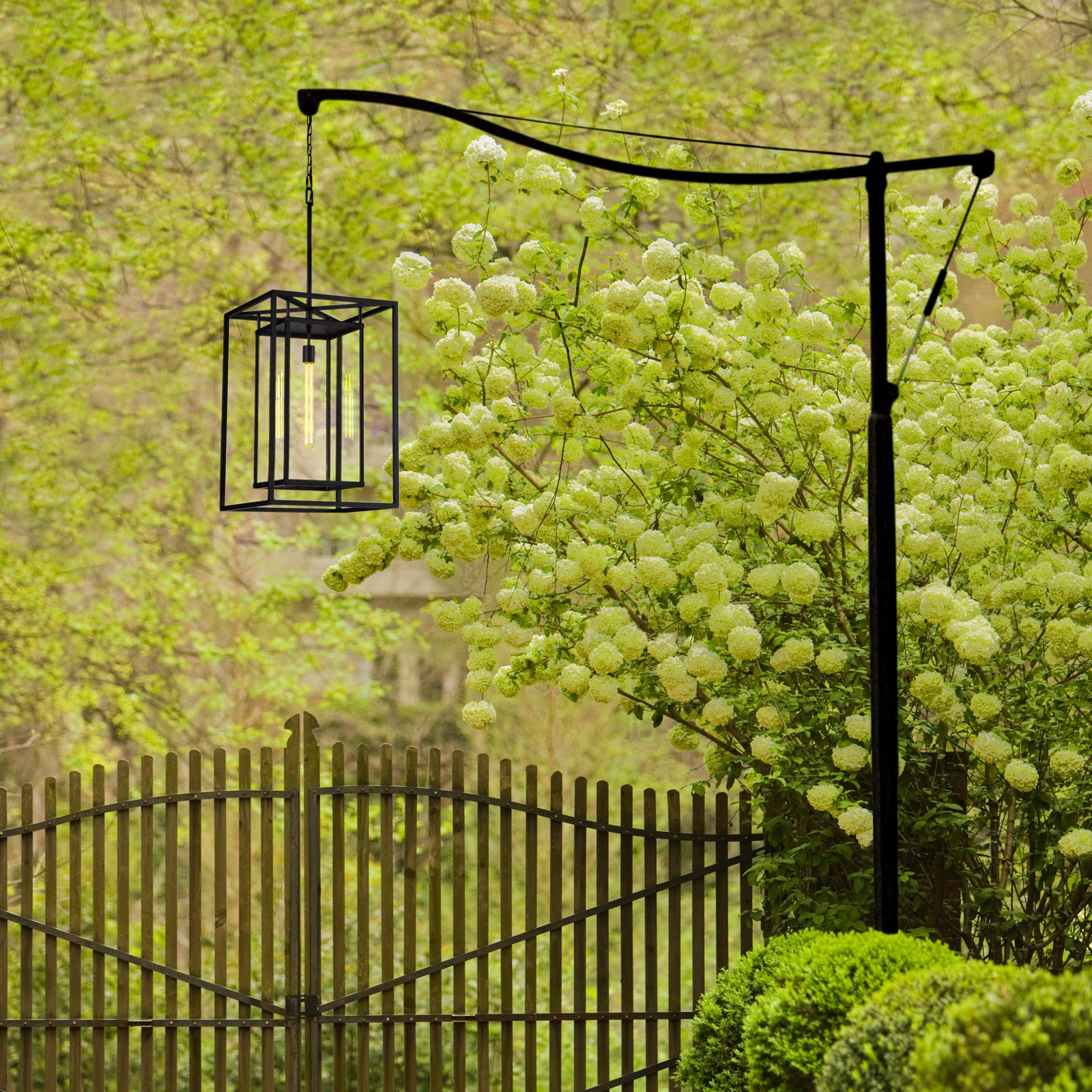 Caliana Outdoor Hanging Lantern, Black