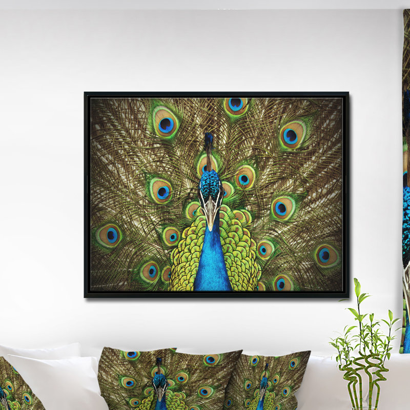 « grand peacock », impression, H 12 po x l 20 po x P 1 po, Toile avec cadre flottant