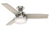 Brushed Nickel
