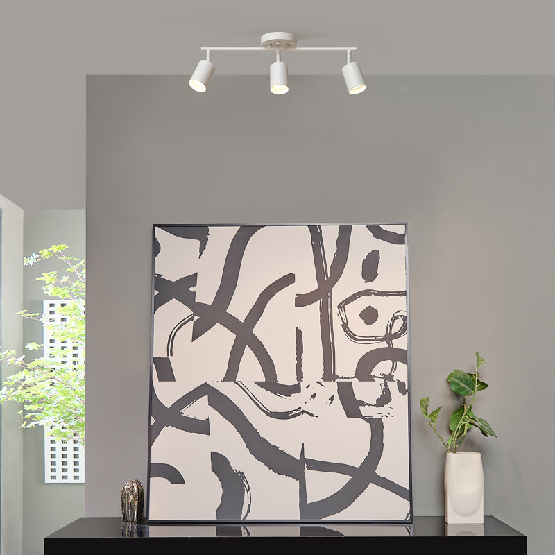 21'' 3 -Light Track Track Kit with Dimmable, White