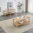 Coffee Table and TV Table Set-2121115996