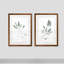 Simple sauge - ensemble de 2 reproductions d'art encadrées-1578471021-1541205131-1578471018