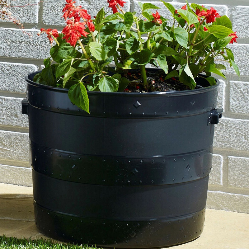Pot Planter, 39cm H x 50cm W x 50cm D