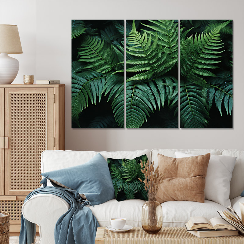 Ferns Close Up Photo VI Plants & Flowers Wall Decor on Metal