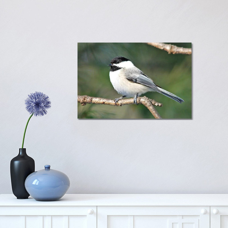 Chickadee 1 Piece Wrapped Canvas Wall Art, 30.48cm H x 45.72cm W x 1.91cm D