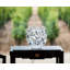 Tourbillons Handmade Crystal Table Vase-32900834-43240722