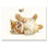 «Little Orange Chaton with Feather», reproduction sur toile