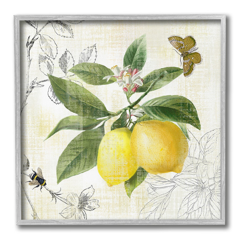 Art de giclée rétro encadré à motif de citron par Nan, Estampe numérique Farmhouse, H 12 po x l 12 po