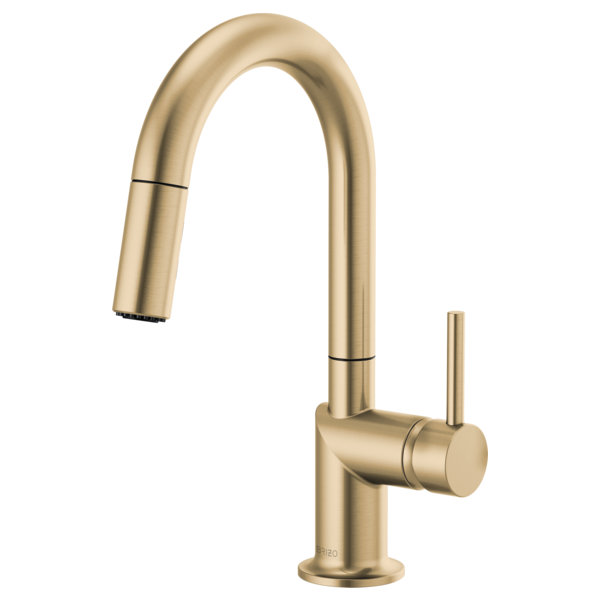Odin® Pull-Down Prep Faucet with Arc Spout, Luxe Gold, Lever