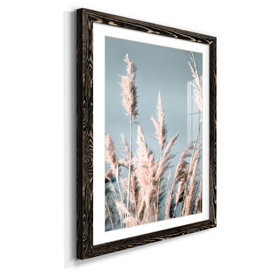 Zen Succulent I - impression