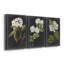 «Dramatic White Flowers I», ensemble de 3 impressions sur toile tendue-158013534