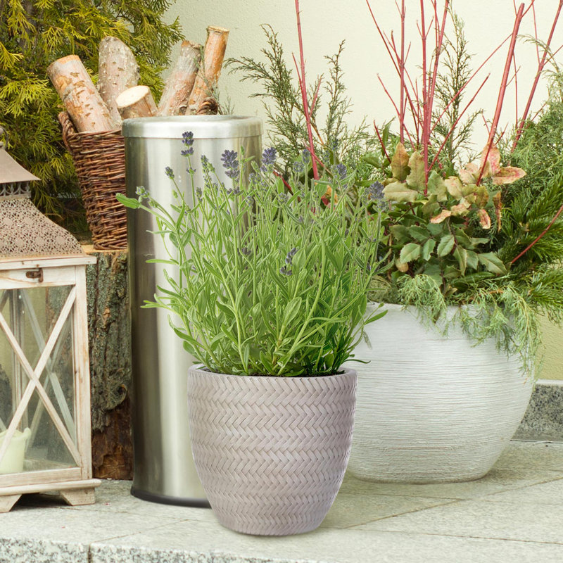 Idealist Plaited Style Round Planter Outdoor Plant Pot, Beige, 23cm H x 24cm W x 24cm D