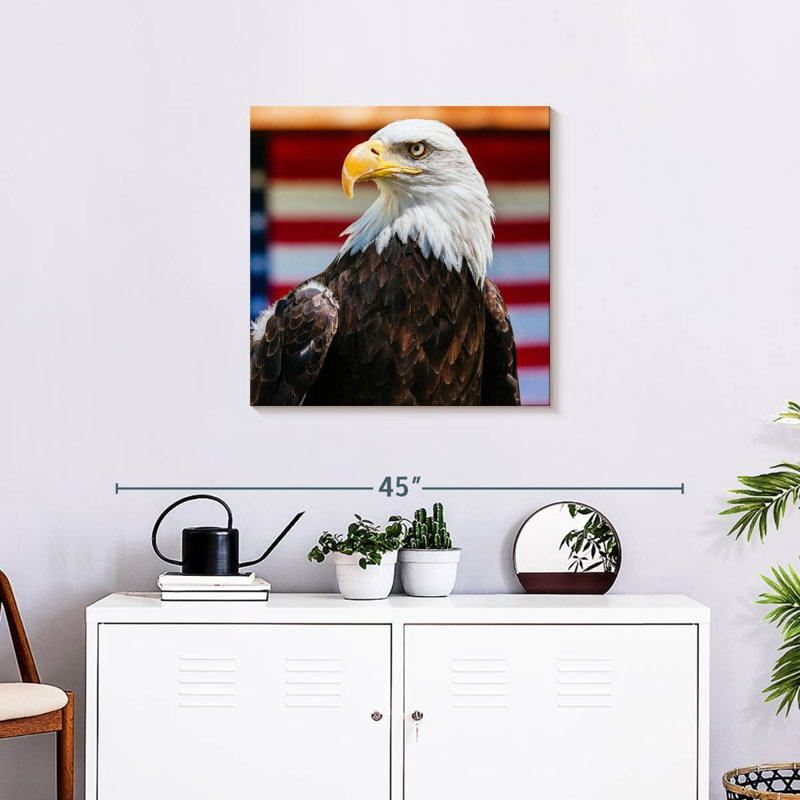 Brampt Mighty US Bald Eagle, 24" H x 24" W