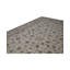 Oriental Area Rug in Brown