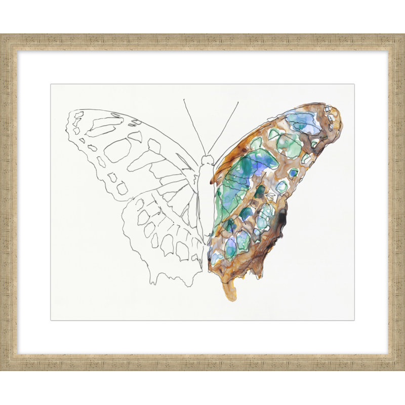 Papillon Croquis 2 Print
