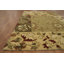 Tapis indien à motif floral All-Over 5 x 8