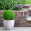 Fibreglass Plant Pot-39260670-39260877