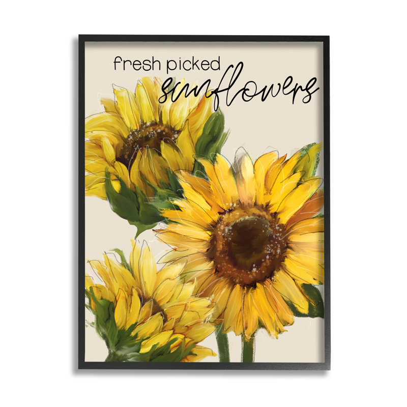 «Fresh Picked Sunflowers» par Conrad Knutsen - peinture sur bois, Giclée encadrée noir minuit, H 14 po x l 11 po x P 1,5 po