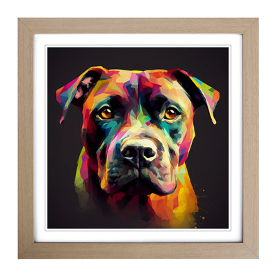 Staffordshire Bull Terrier No.1 - Framed Print