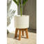 Palmier 19,75 po en pot