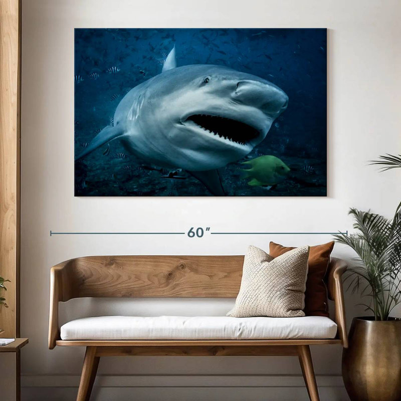 Brampt Bull Shark In Action, 34" H x 51" W
