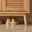 Armoire à chaussures pratique avec rangement populaire-1078425945
