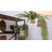 Omalley Hanging Planter