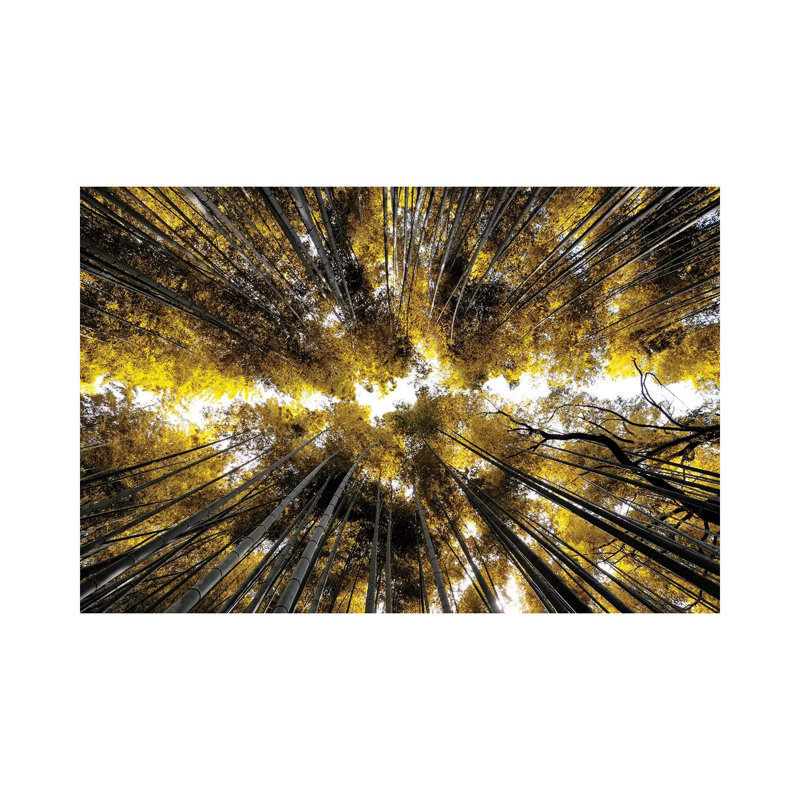 Arashiyama Bamboo Forest I 1 Piece Wrapped Canvas Wall Art, 20.32 cm H x 30.48 cm W