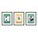 Modern Botanical. Set of 3 Framed Painting by Lee Lessem