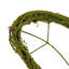 Vickerman 13"H Butterfly Outline Wreath. Made of natural twigs. Measures 13" tall by 15" wide. It is the perfect base for your seasonal front-door decor.-305310681