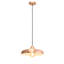 Ringsted 1 - Light Pendant