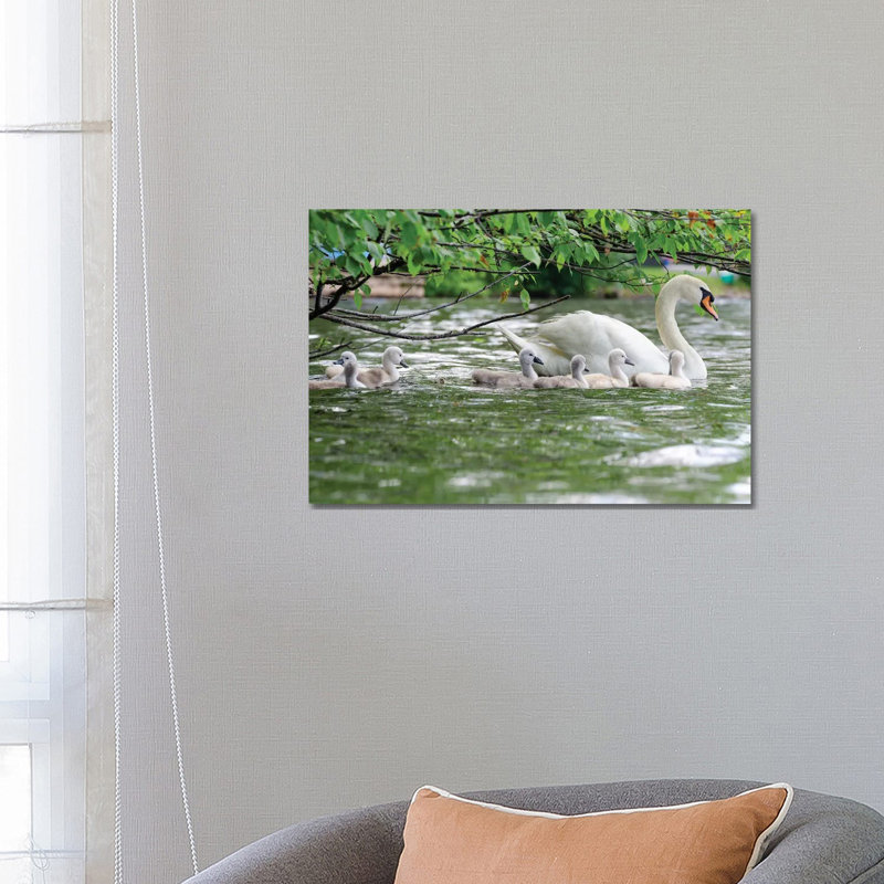 Family Float by David Gardiner - Wrapped Canvas Print, 45.72cm H x 66.04cm W