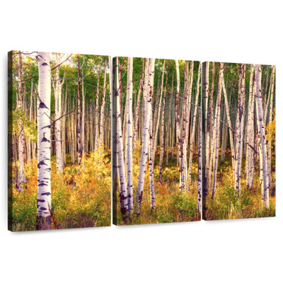 Alvord Aspen Grove In Autumn I