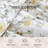 Laura Ashley Roses Gold Cotton Reversible Comforter Bonus Set-102291730