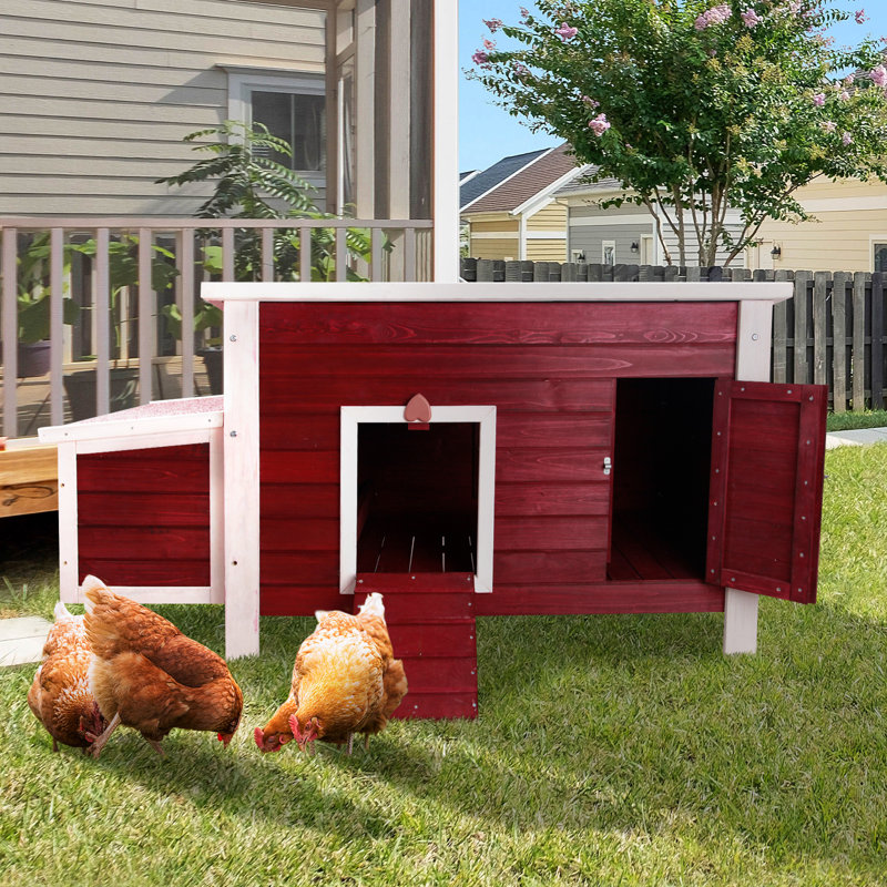 Poulailler avec nichoir 10,65 pieds carrés Cerine, Rouge