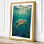 Turtle in Light Coastal - Wrapped Canvas-978167323-978167326
