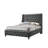 Hawys Upholstered Microfiber / Microsuede Standard Bed
