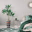 66 plantes-97701529