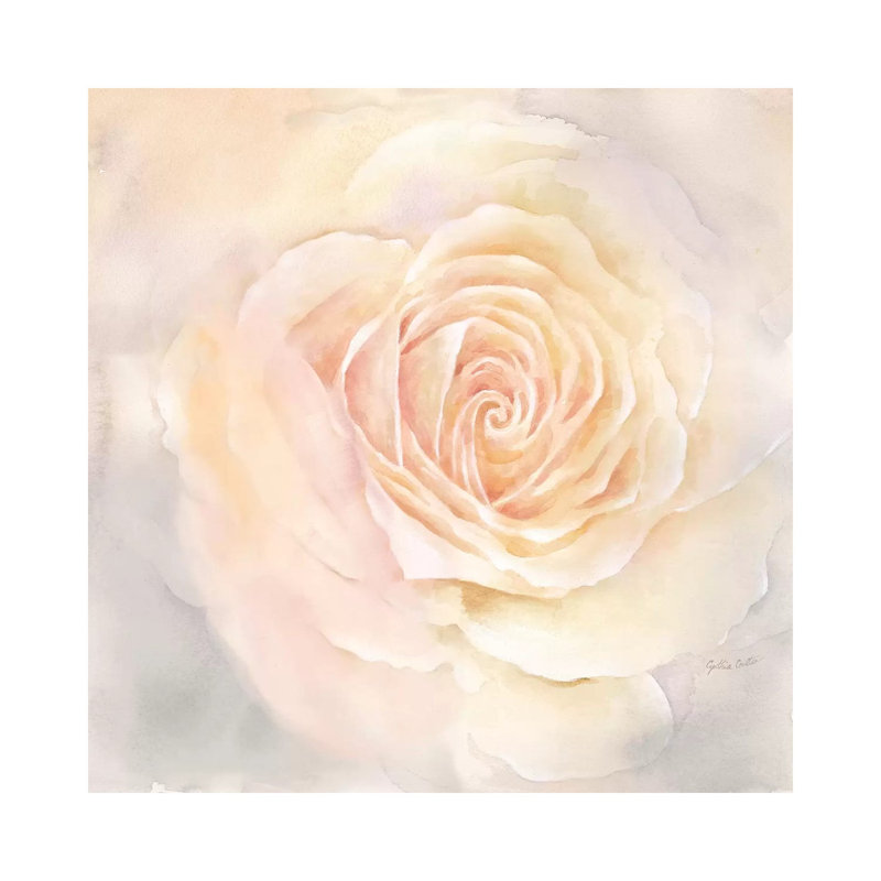Blush Rose Closeup III by Cynthia Coulter - Wrapped Canvas Painting, 66.04 cm H x 66.04 cm W x 1.91 cm D