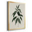 Toile encadrée de qualité supérieure Soft Greenery II - prête à être accrochée-401308645-401308644