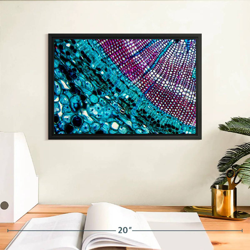 Pine Stem Under Microscope, 13" X 9", Floating Frame Black