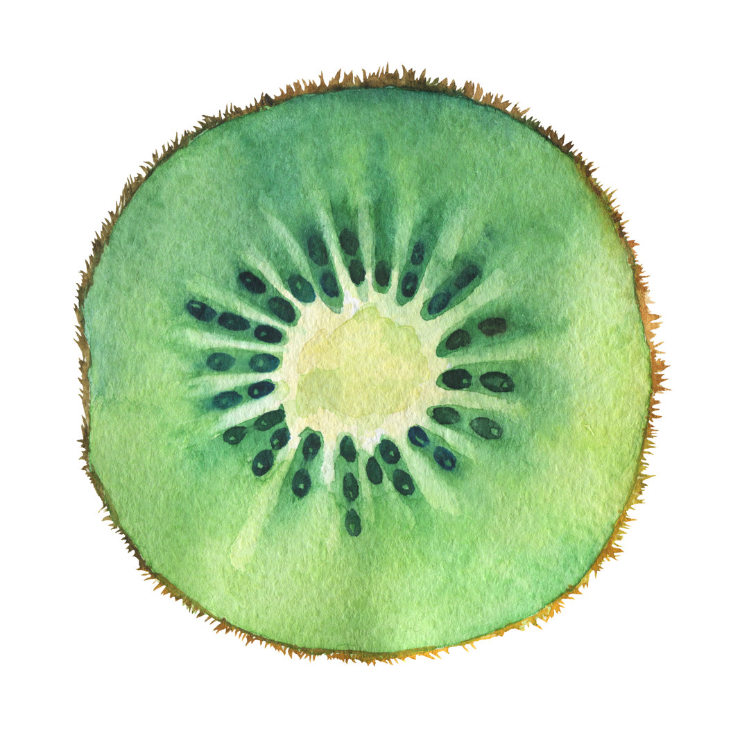 Slice Of Fresh Kiwi Fruit von Arxichtu4ki - Leinwanddrucke