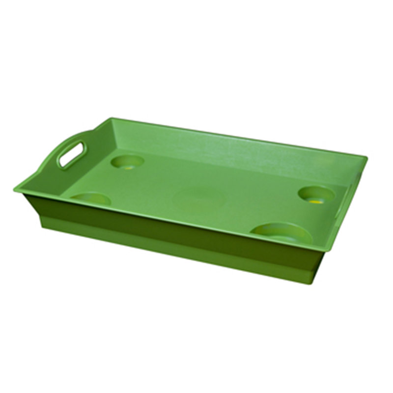 Dynesti Plastic / Acrylic Tray, Green