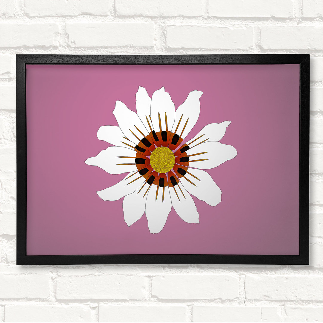 White Daisy Pinks - Druck