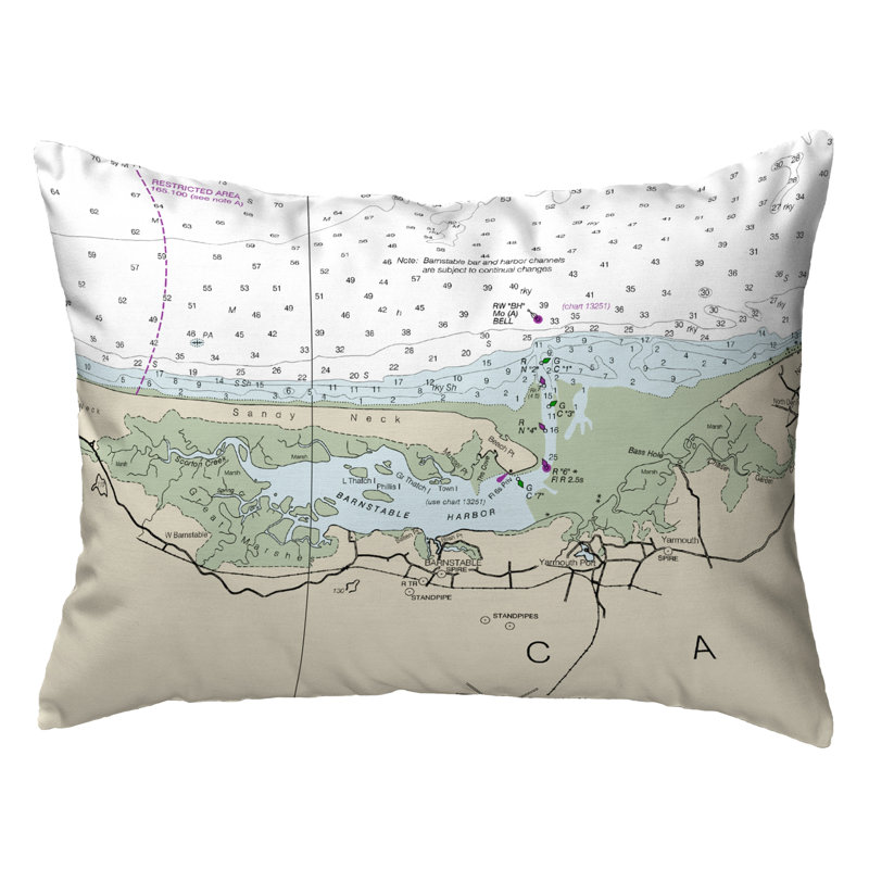 Outdoor Reversible Throw Pillow