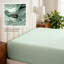 Drap-housse en percale de coton biologique à densité de tissage 300 fils-70040825-87953009