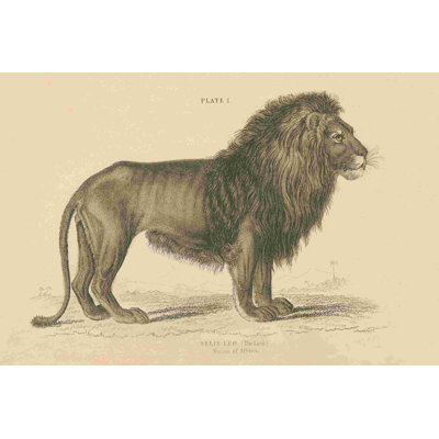 Lion rétro