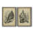 " The Larch " 2 - Pieces-120827173-120827174