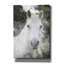«White Horse Mystique» par Bluebird Barn - peinture sur toile tendue-853846921