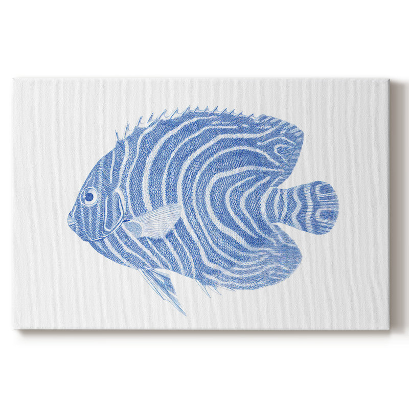 Poisson tropical bleu et blanc II - Cavas enveloppés de galerie, 24 x 36